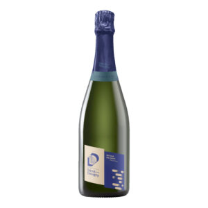 Dérot-Delugny - Retour en avant (100% Pinot gris)