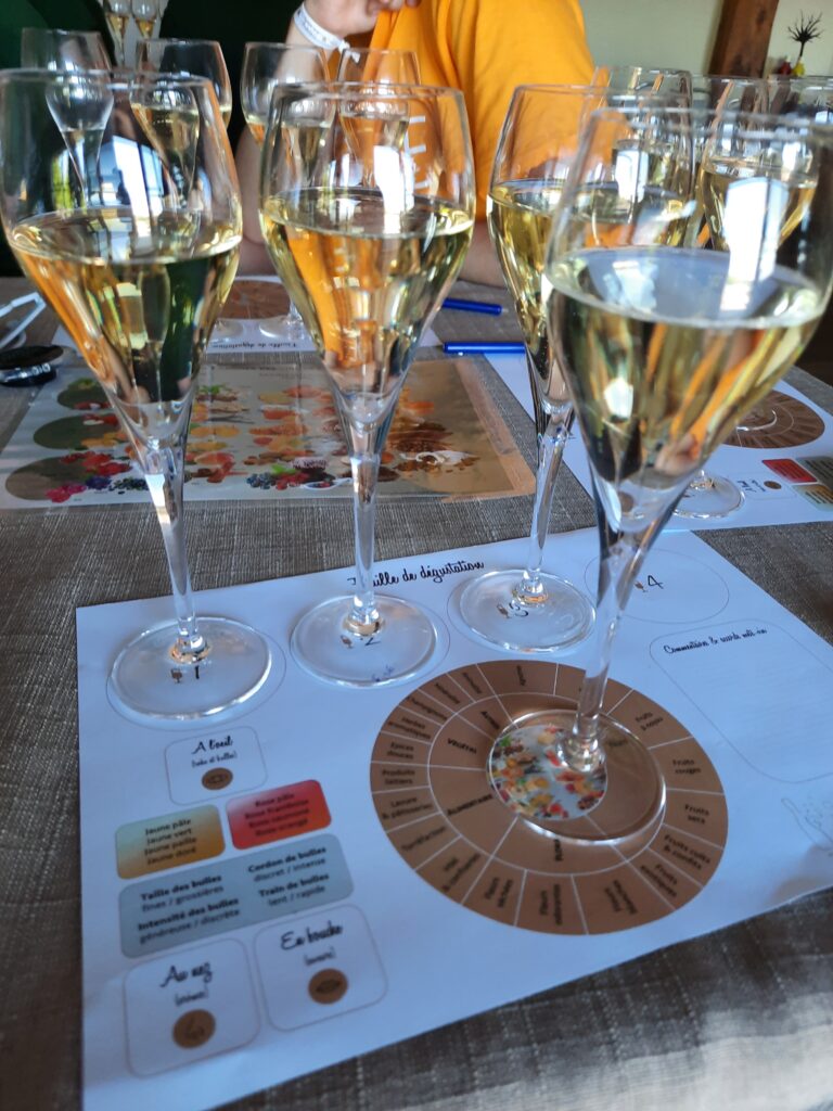 ateliers de dégustation de vins